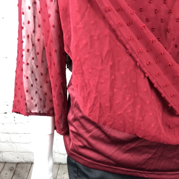 2X 3X Style & Co Burgundy Swiss Dot Velvet Top - Picture 6 of 7